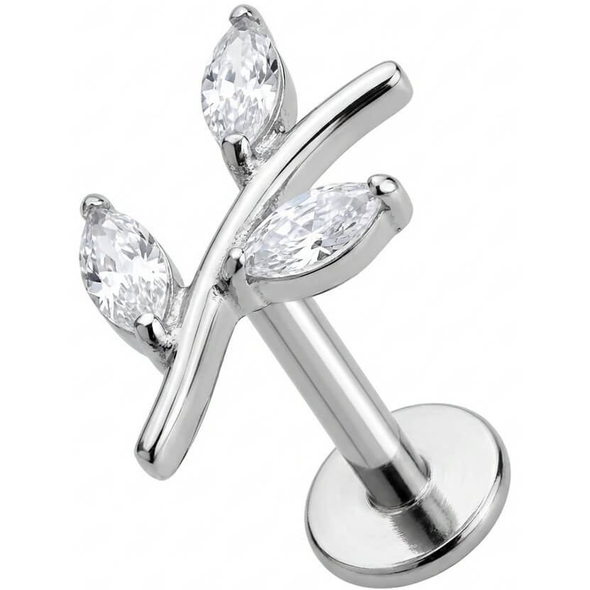 Unsere Titan Piercings